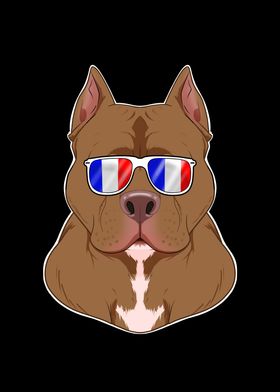 Pitbull France Sunglasses