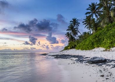 Tropical Beach Paradise