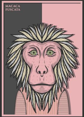 Japanese Macaque Monkey