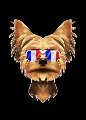 Yorkshire Terrier France