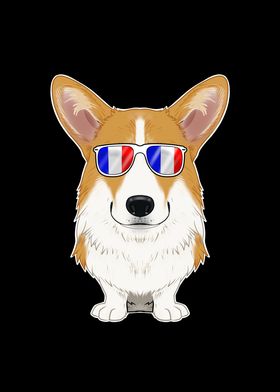 Welsh Corgi France