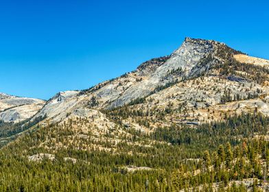 Tenaya Lake Yosemite Park