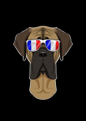 Mastiff France Sunglasses