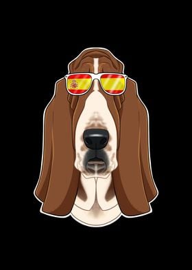 Basset Hound I Spain