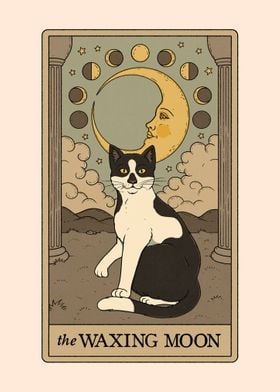 The Waxing Moon Cat