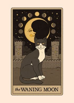 The Waning Moon Cat