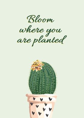 Bloom Where U Are Planted