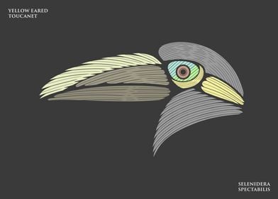 Yellow Eared Toucanet