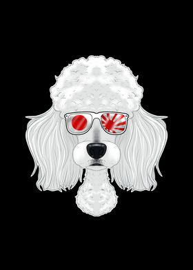 Poodle Japan Sunglasses