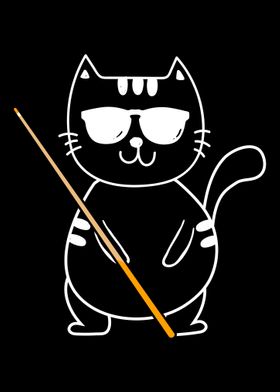 Billiard Pool Player