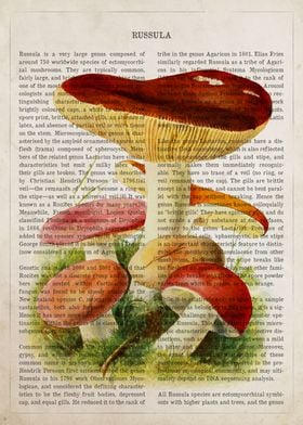 Mushroom Russula