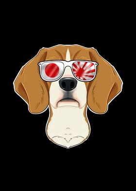 Beagle Japan Sunglasses