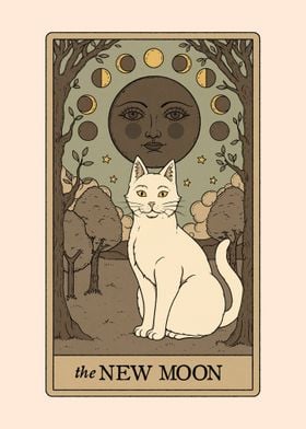 The New Moon Cat