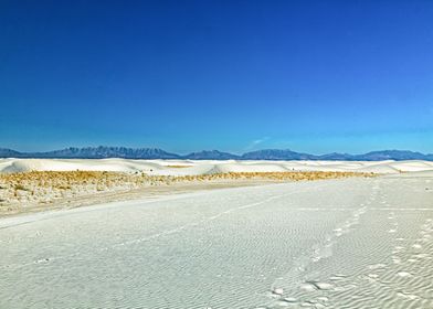 White Sands Monument 