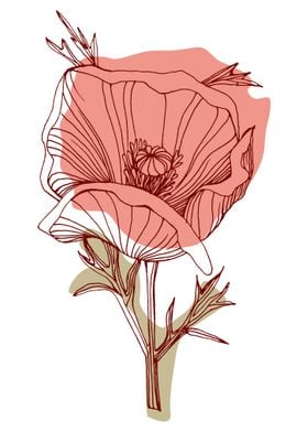 Poppy Botanical Floral