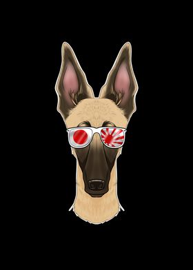 Malinois Japan Sunglasses