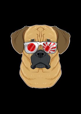 Puggle Japan Sunglasses