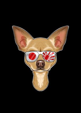 Chihuahua Japan Sunglasses