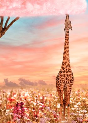 Giraffe Paradise