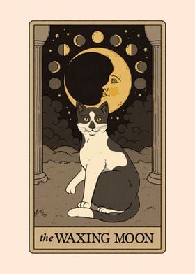 The Waxing Moon Cat