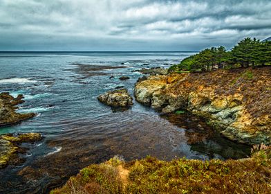 Pacific Coast Highway View