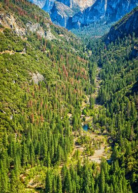 West Yosemite Valley