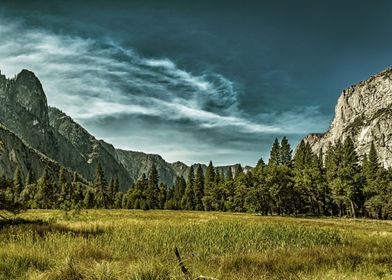 Sentinel Dome Cooks Meadow