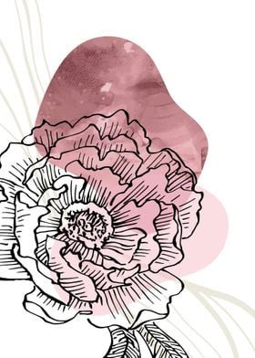 Peony Flowers Art