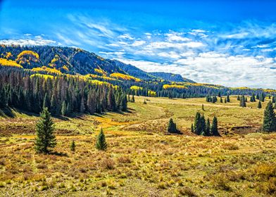 Cumbres and Toltec Train