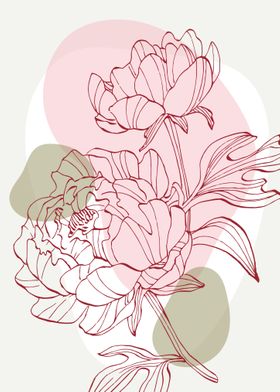 Peony Flowers Art