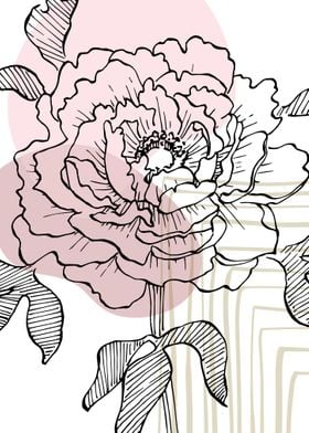 Peony Flowers Art