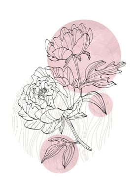 Peony Flowers Art