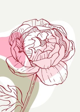 Peony Flowers Art