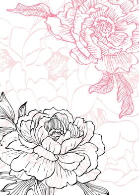 Peony Flowers Art