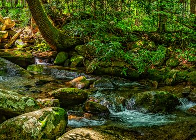 Rainbow Falls Hike