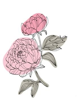 Peony Minimalist ART