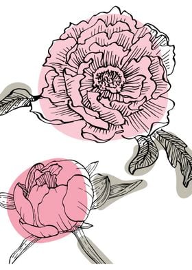 Peony Minimalist ART