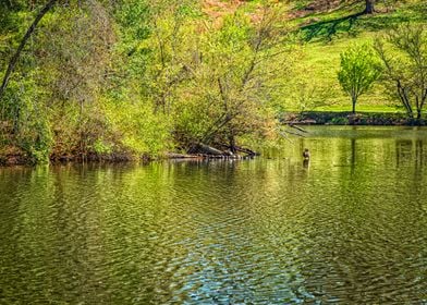 Appalachian Mountain Lake