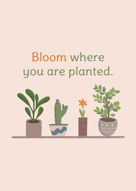 Just Bloom