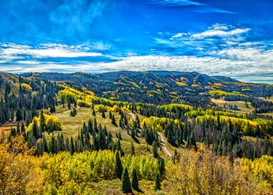 Cumbres and Toltec Train