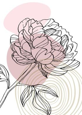 Peony Flowers Art