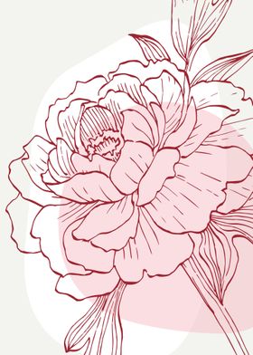 Peony Flowers Art