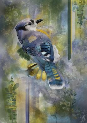 Blue Jay Nature Spirit