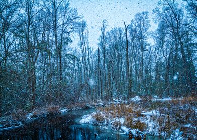 January Snow Day