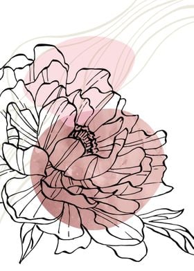 Peony Flowers Art