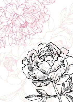 Peony Flowers Art