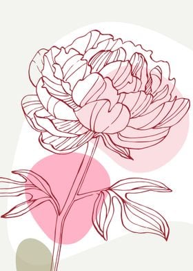 Peony Flowers Art