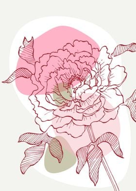 Peony Flowers Art