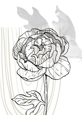 Peony Flowers Art