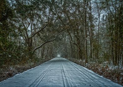 January Snow Day